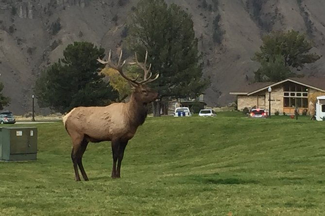 7-day-private-bryce-yellowstone-grand-tetons-tour-from-vegas