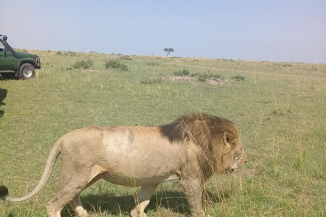 7 Day Private Jeep Safari, 5 star lodges with Balloon Ride Kenya - An In-Depth Look at the Itinerary
