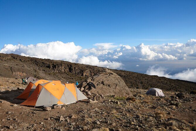 7-Day Private Kilimanjaro Hiking Tour via Machame from Arusha - The Sum Up