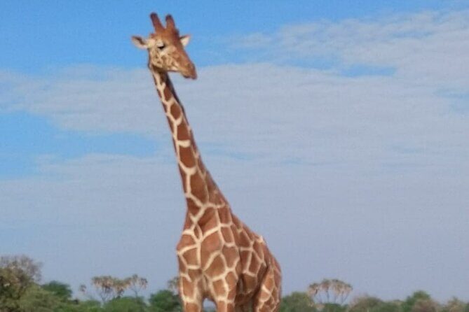 7-Day Private Safari to Amboseli National Park and Masai Mara - FAQ