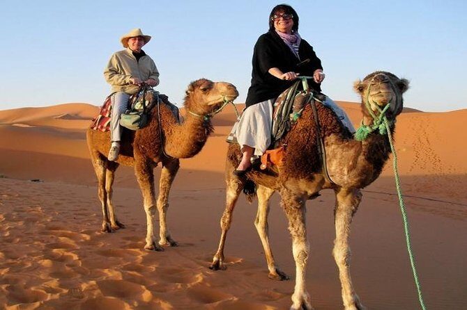 7-Day Private Tour, Explore Jordan's Glamour - Who Would Love This Tour?