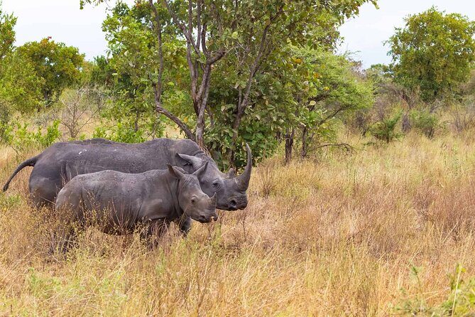 7-Day Private Tour in Kenya National Parks From Nairobi / Mombasa - Who Is This Tour Best For?