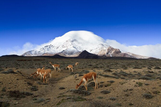 7-day-private-tour-of-the-best-places-in-the-andes-and-the-amazon