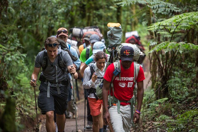 7 Day Rongai Kilimanjaro Summit - Overview of the 7-Day Rongai Kilimanjaro Climb
