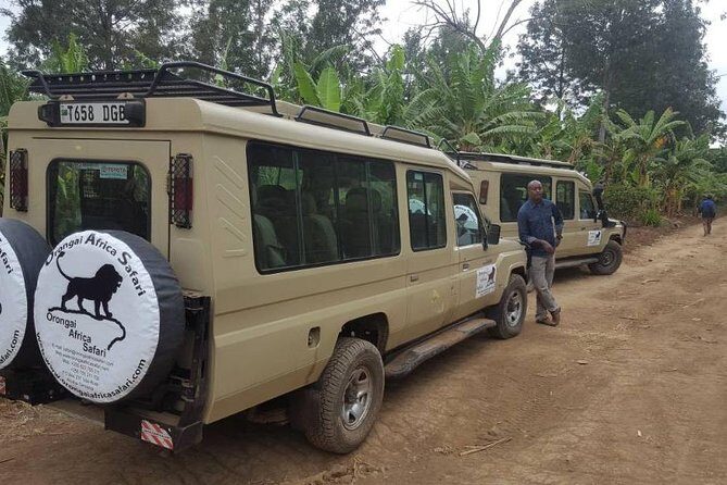 7-Day Safari (Including Serengeti) & Zanzibar Extension - Who Should Consider This Tour?