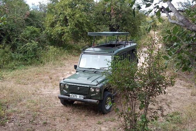 7 Day Safari To Selous, Mikumi and Ruaha National Parks + transfers - Introduction: What Makes This Safari Stand Out?