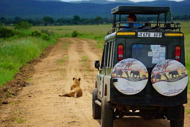 7 Day Safari To Selous, Mikumi and Ruaha National Parks + transfers - What’s Included and What to Consider?