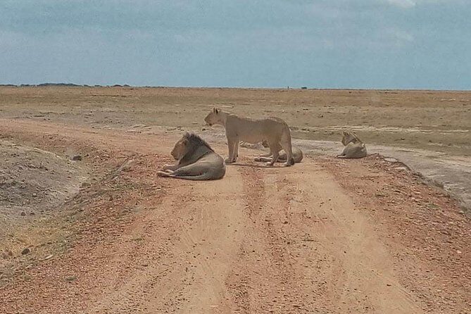 7-Day Samburu, Maasai Mara, L Nakuru, Lake Naivasha Hell's Gate - Exploring the 7-Day Kenya Safari in Detail