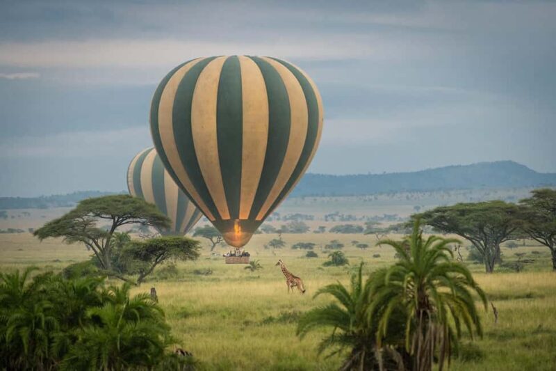 7-Day Serengeti Safari and Zanzibar Beach Tour - Introduction