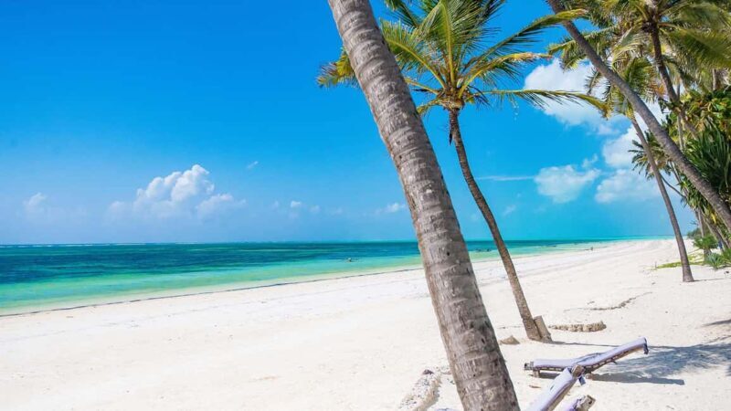 7-Day Serengeti Safari and Zanzibar Beach Tour - Why This Tour Is a Great Choice