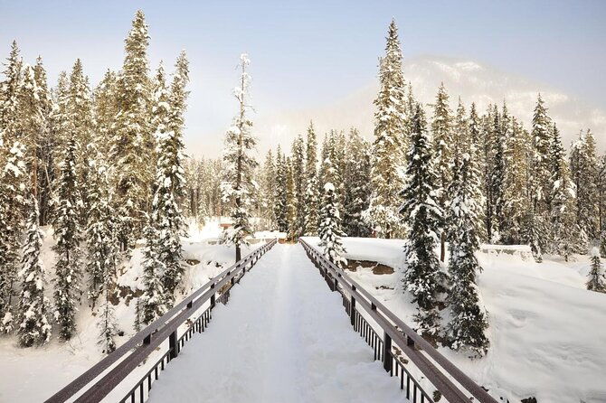 7-day-small-group-tour-canadian-rockies-and-national-parks