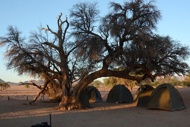 7 Day Southern Namibia and Sossusvlei Camping Safari - An In-Depth Look at the Experience