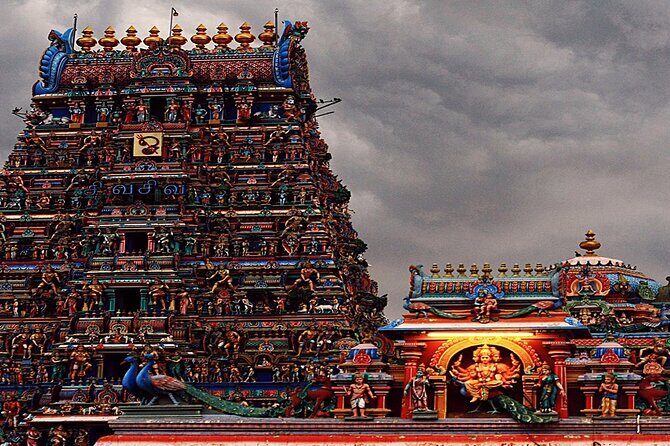 7-Day Tamilnadu Temple Private Guided Tour from Chennai - What Travelers Are Saying