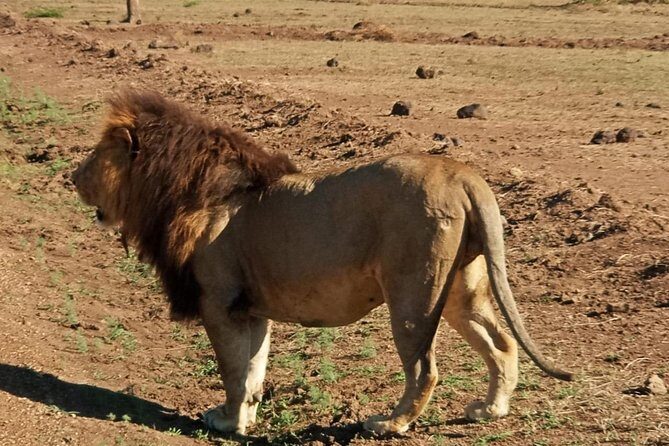 7 Day Tanzania visiting Arusha, Lake Manyara, Serengeti, Ngorongoro & Tarangire - Final Thoughts