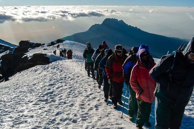 7 Day Tour Machame Route - An In-Depth Look at the 7-Day Machame Route Kilimanjaro Trek