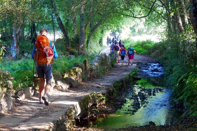 7-Day Tour of the French Way of Santiago from Sarria - Key Points