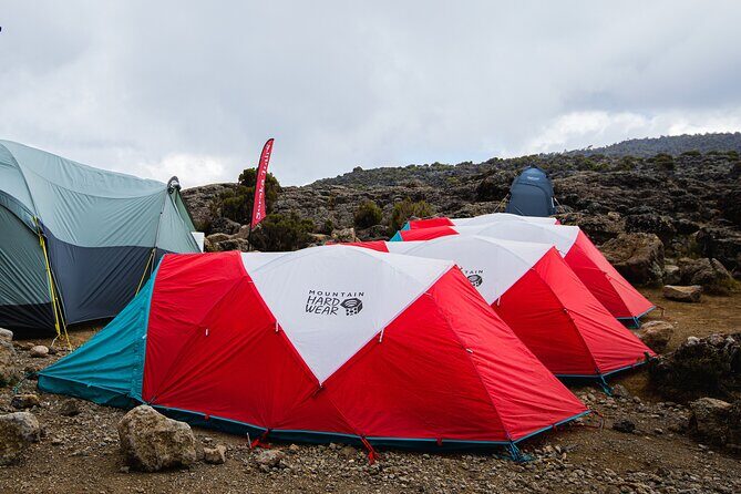 7 Day Trek To The Roof Of Africa Kilimanjaro via Machame Route - Final Thoughts: Who Is This Tour For?
