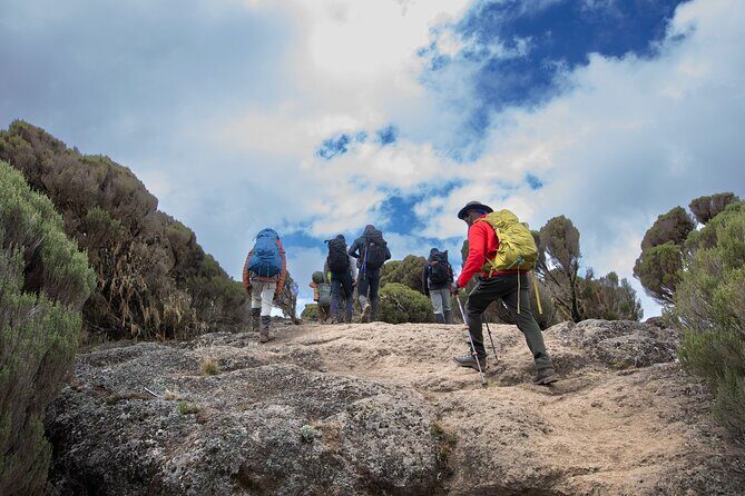 7 Day Trek To The Roof Of Africa Kilimanjaro via Machame Route - In Closing