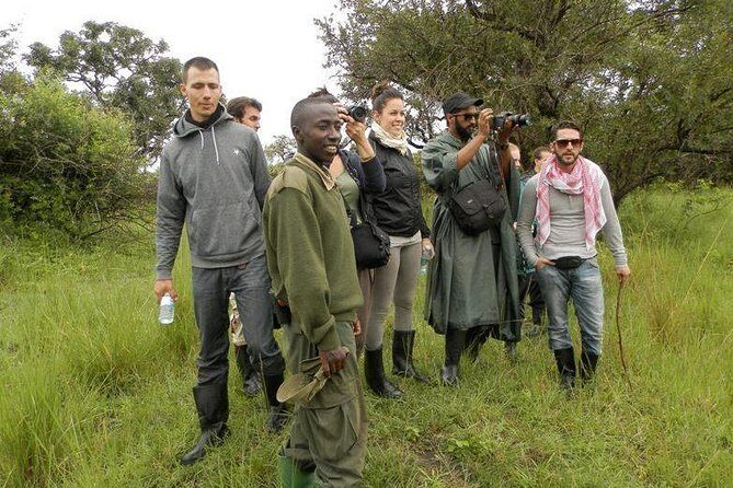 7-Day Uganda Adventure Safari - Midrange Lodges - Who Is This Tour Best For?