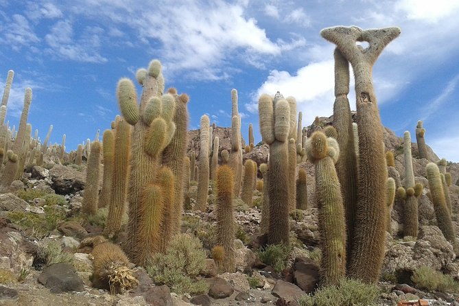 7-day-uyuni-salt-flats-and-desert-adventure-from-la-paz