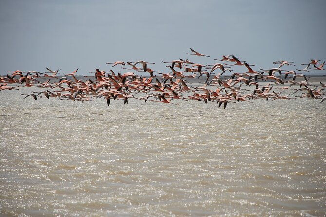 7-days-6-nights-alta-guajira-photographic-route-tour-with-pick-up
