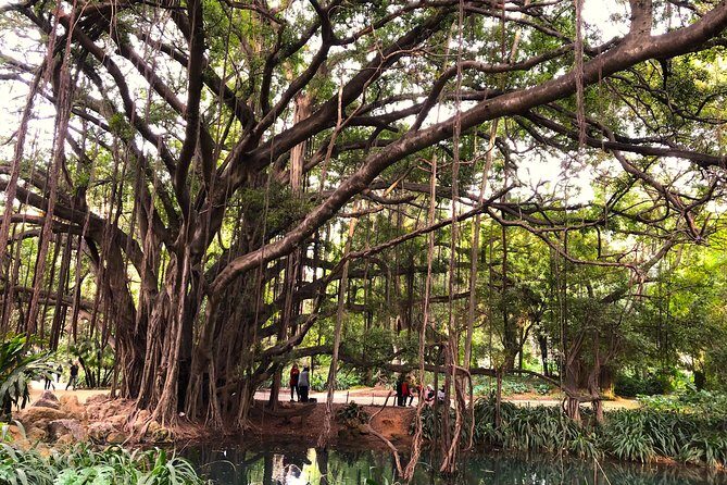 7 Days 6 Nights Private Trip in 5 Cities - Frequently Asked Questions