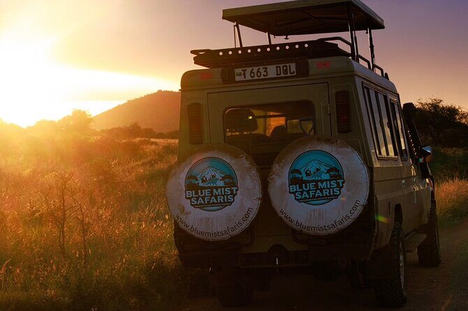 7 Days All inclusive Premium Safari Adventure in Tanzania - Key Points