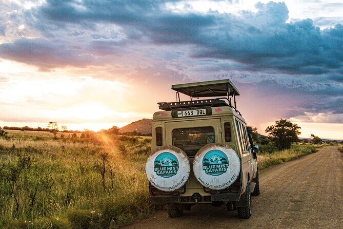 7 Days All inclusive Premium Safari Adventure in Tanzania - Practical Considerations