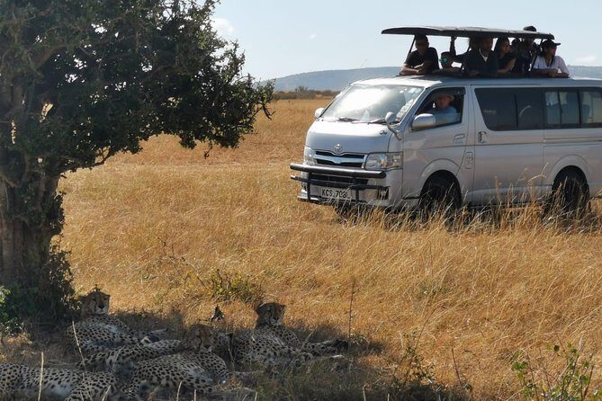 7 Days Amboseli, Naivasha, Maasai Mara and Lake Nakuru game parks - Frequently Asked Questions