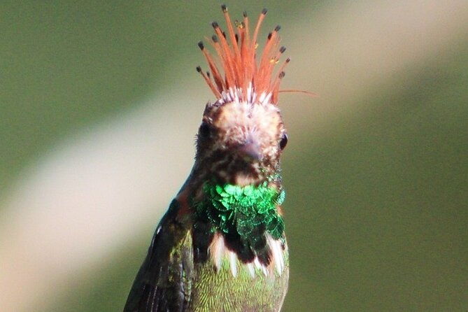 7-days-and-6-nights-private-tour-manu-national-park-in-cusco