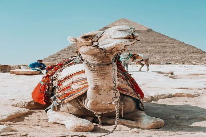 7-days and 6-nights to Pyramids and the Nile - Final Thoughts