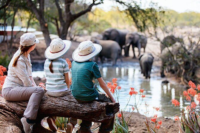 7 Days Best Luxury Safari To Tanzania - Key Points