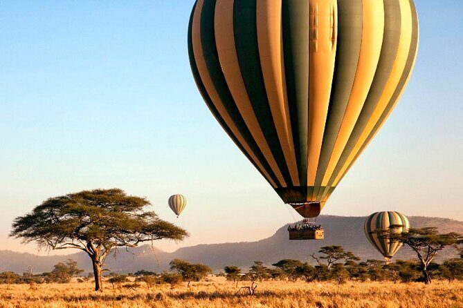 7 Days Best Luxury Safari To Tanzania - A Closer Look at the Itinerary