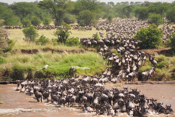 7 Days Best Luxury Safari To Tanzania - The Sum Up