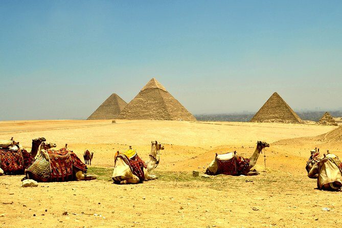 7 Days Best of Egypt Tour from Abu Simbel to Alexandria w/ Private Sightseeing - FAQs