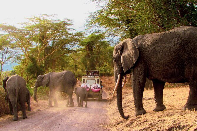 7 Days Best of Kenya Wildlife Safari - Breaking Down the Itinerary: What to Expect on Each Day