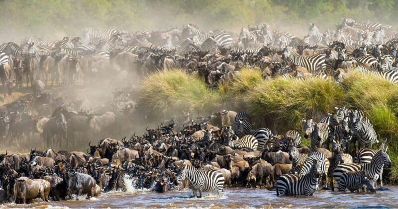 7 Days Big Five Safari to Tarangire, Serengeti & Ngorongoro - Additional Practicalities and Considerations