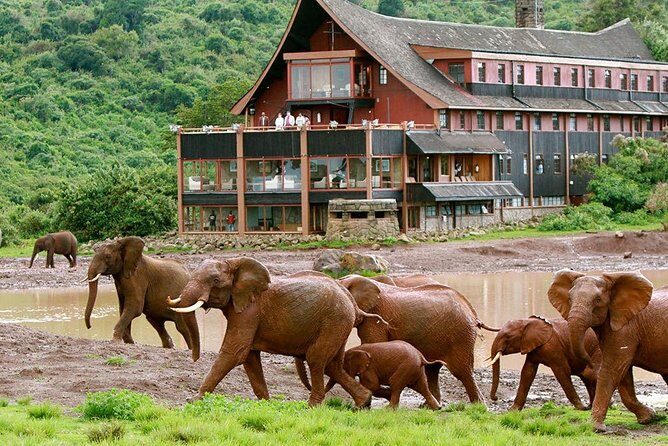 7 Days Breathtaking Kenya Wildlife Private Safari - An Overview of the Safari Experience