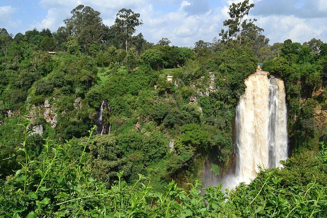 7 Days Breathtaking Kenya Wildlife Private Safari - Practical Tips for Future Travelers