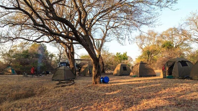 7-Days Budget Camping - Tarangire, Serengeti, Ngorongoro... - Who Is This Tour Best For?