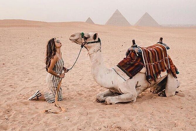 7 Days Cairo, Alexandria, Luxor & Aswan - What Makes This Tour Stand Out?