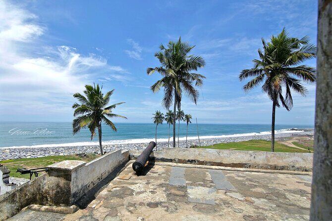 7 Days Cape Coast and Nzulezo Stilt Village Tour - What Makes This Tour Stand Out?