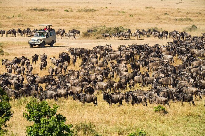 7 Days Cultural and Wildlife Safari - Who Should Consider This Tour?