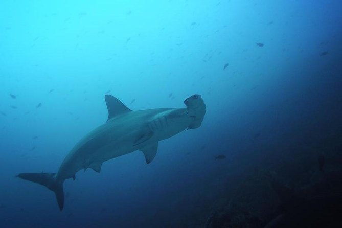 7-days-diving-and-hiking-on-the-galapagos-islands-tour