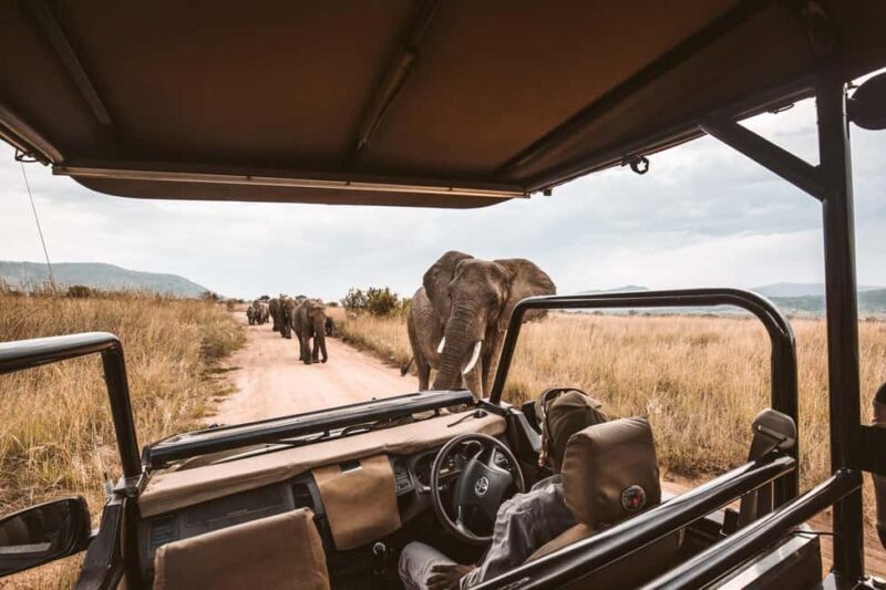 7 Days Elephant Safari Experience on 4x4 Landcruiser Jeep - Final Thoughts