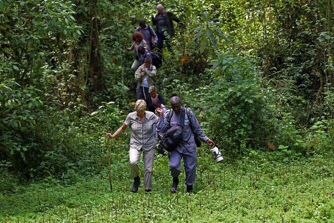 7 Days Flying Gorillas and Wildlife Safari Uganda Private Tour - Who Will Love This Tour?