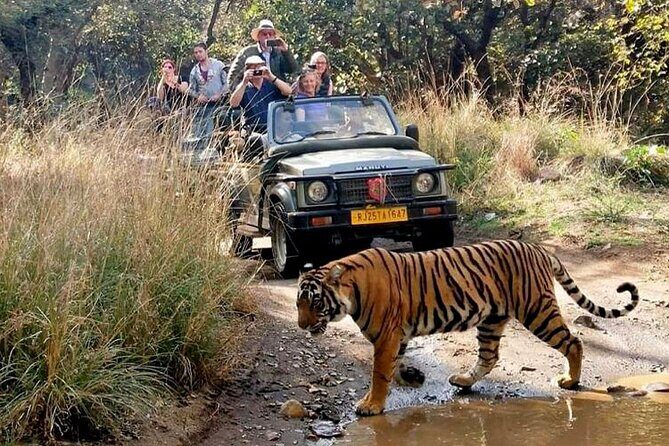 7 Days Golden Triangle Tour with Ranthambore & Varanasi Tour - A Solid Introduction to India’s Heart