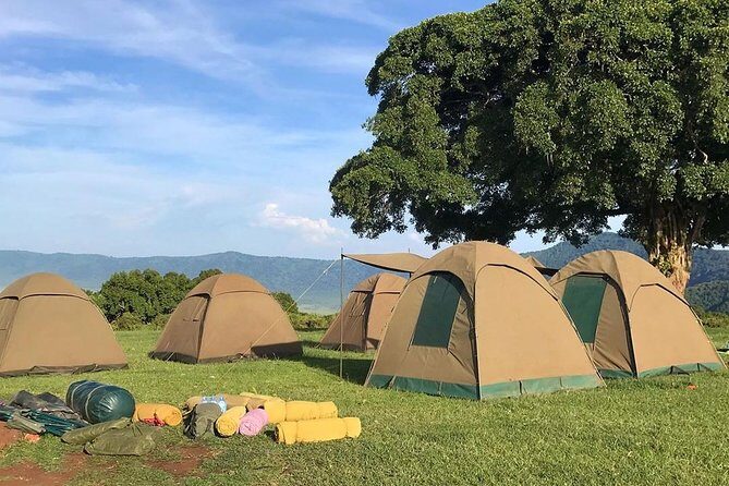 7 days great migration safari - FAQ
