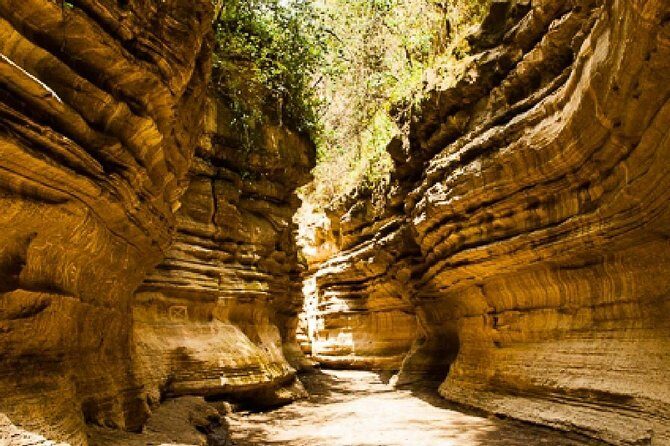 7 days Group Safari Masai Mara Lake Nakuru Hells gate & Amboseli - An In-Depth Look at the 7-Day Kenyan Safari