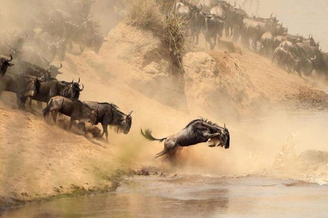 7 days Group Safari Masai Mara Lake Nakuru Hells gate & Amboseli - Frequently Asked Questions